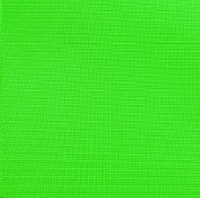 Rental store for NEON GREEN POLYESTER LINEN in Mt Pleasant MI