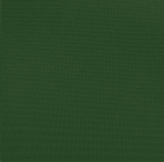 Rental store for MOSS POLYESTER LINEN in Mt Pleasant MI