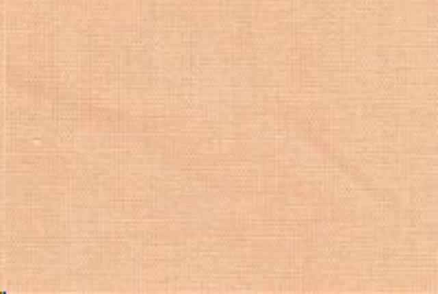 Rental store for PEACH TWILL LINEN in Mt Pleasant MI